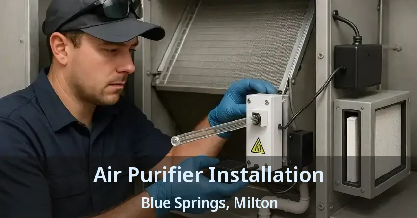 Air Purifier Installation Blue Springs, Milton - ON