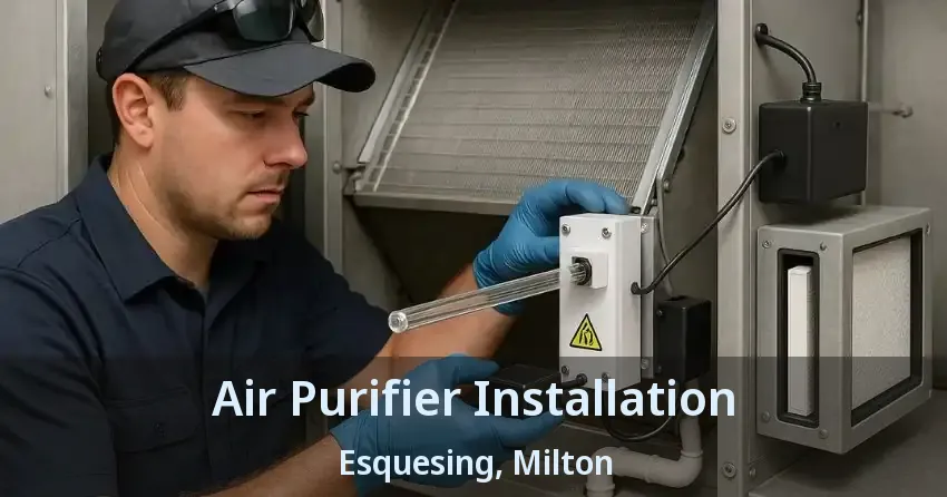 Air Purifier Installation Esquesing, Milton - ON
