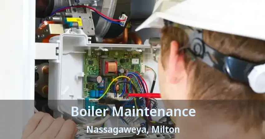 Boiler Maintenance Nassagaweya, Milton - ON