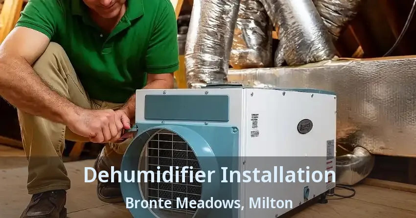 Dehumidifier Installation Bronte Meadows, Milton - ON
