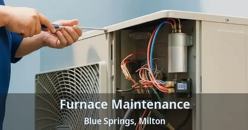 Furnace Maintenance Blue Springs, Milton - ON