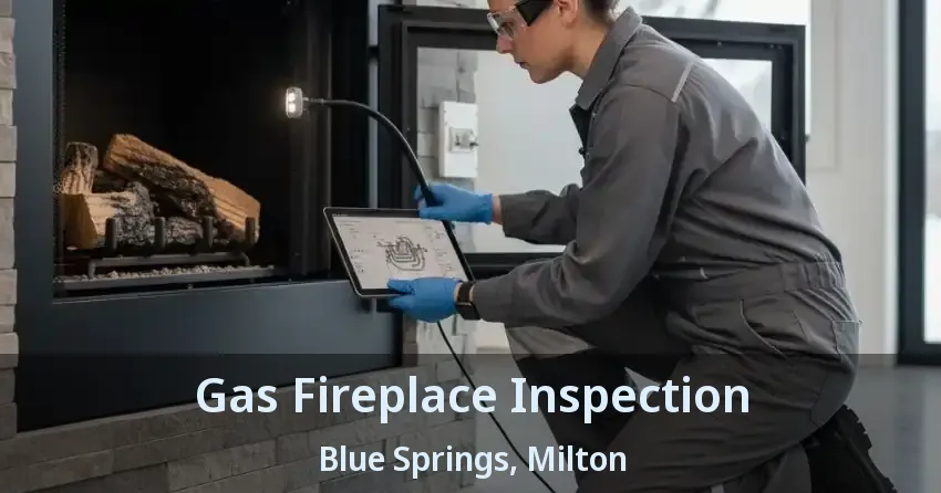 Gas Fireplace Inspection Blue Springs, Milton - ON