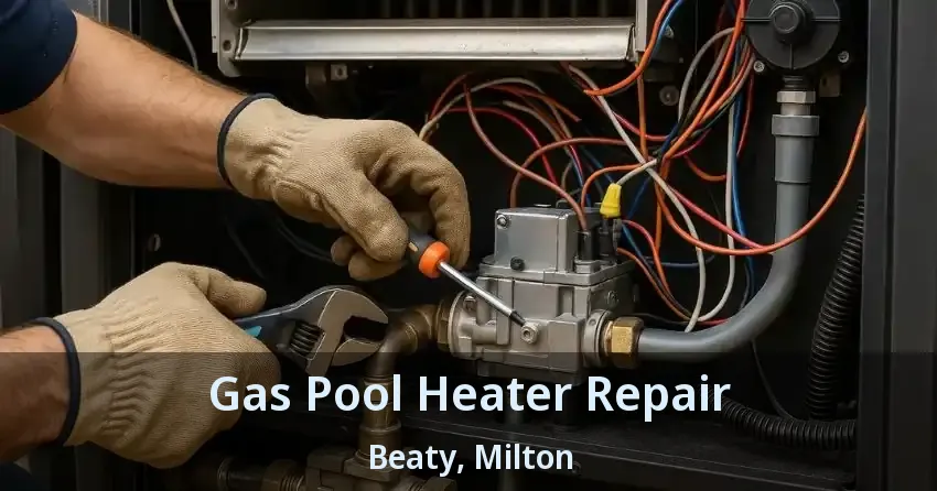 Gas Pool Heater Repair Beaty, Milton - ON