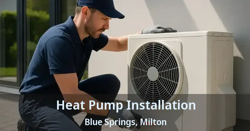 Heat Pump Installation Blue Springs, Milton - ON