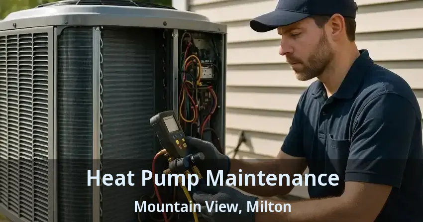 Heat Pump Maintenance Mountain View, Milton - ON