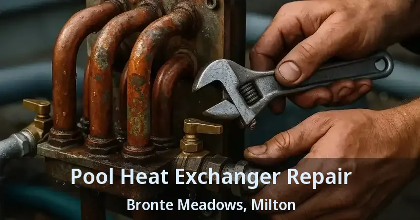 Pool Heat Exchanger Repair Bronte Meadows, Milton - ON