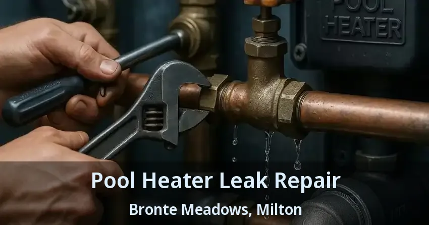 Pool Heater Leak Repair Bronte Meadows, Milton - ON