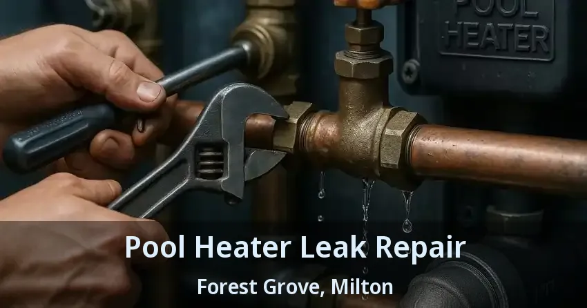 Pool Heater Leak Repair Forest Grove, Milton - ON