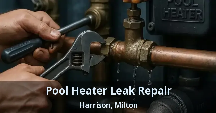 Pool Heater Leak Repair Harrison, Milton - ON