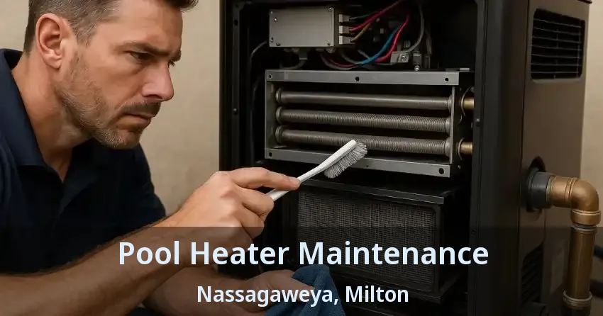 Pool Heater Maintenance Nassagaweya, Milton - ON