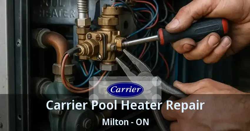 Carrier Pool Heater Repair Milton - ON